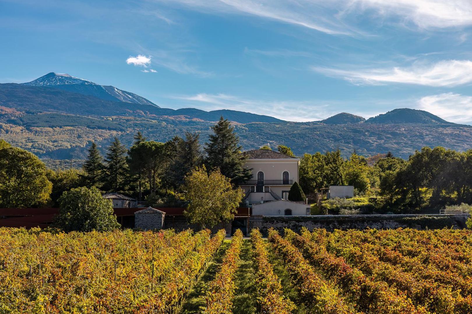 Campore Etna Wines And Resort 兰达佐 外观 照片